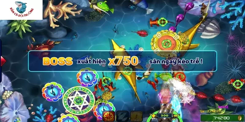 Mẹo hay săn cá khủng chắc ăn từ chuyên gia